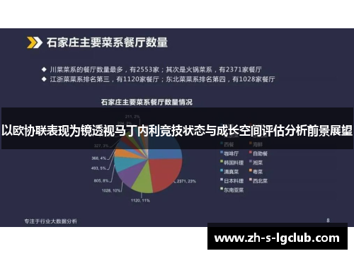 以欧协联表现为镜透视马丁内利竞技状态与成长空间评估分析前景展望