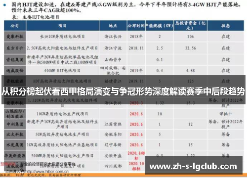 从积分榜起伏看西甲格局演变与争冠形势深度解读赛季中后段趋势